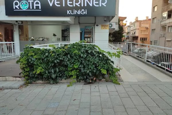 Rota Veteriner Kliniği - Resim 5