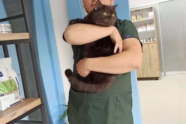 Rota Veteriner Kliniği - Resim 6