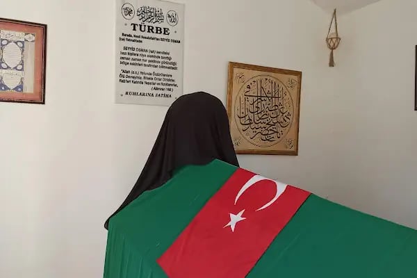 Seyyid Osman Adapazari Türbesi - Resim 9