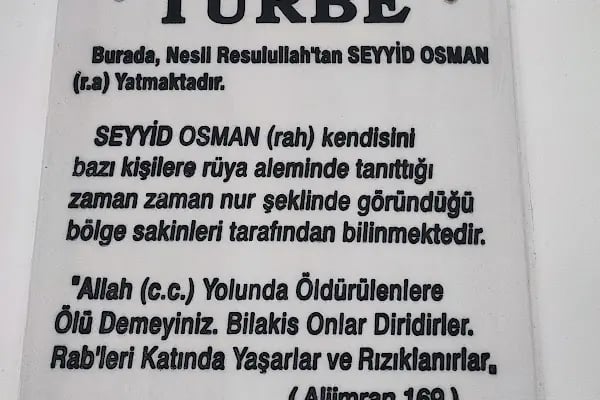 Seyyid Osman Adapazari Türbesi - Resim 14