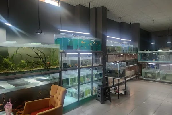 PETRA AQUA PETSHOP - Resim 8