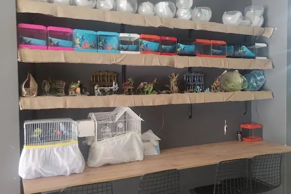 PETRA AQUA PETSHOP - Resim 7
