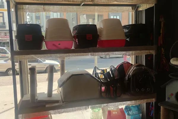 PETRA AQUA PETSHOP - Resim 20