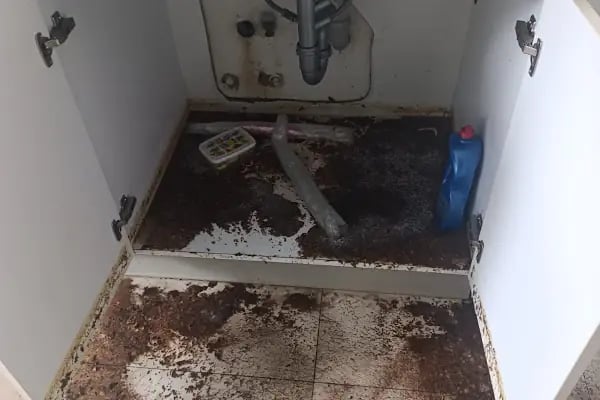 Fresh Cleaning Temizlik Şirketleri - Resim 16