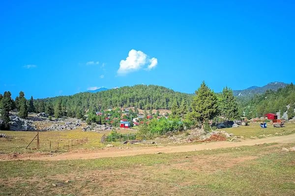 Etekli Köyü Tereli Yaylası Çamlık Seyir Tepesi - Resim 7