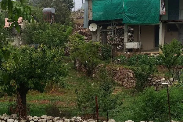Etekli Köyü Tereli Yaylası Çamlık Seyir Tepesi - Resim 11