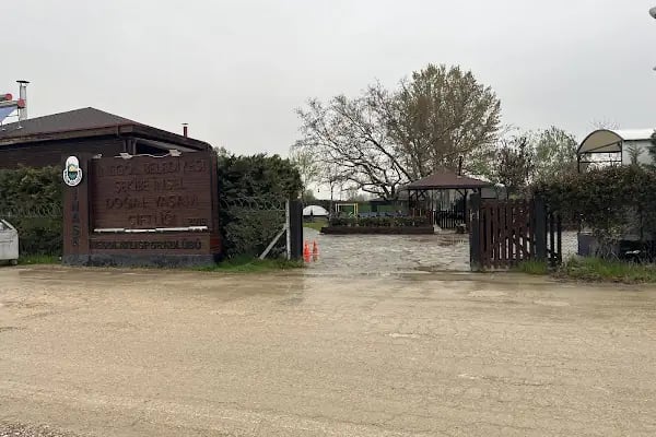 İnegöl Atlı Spor Kulübü - Resim 17