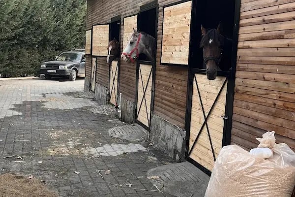 İnegöl Atlı Spor Kulübü - Resim 19