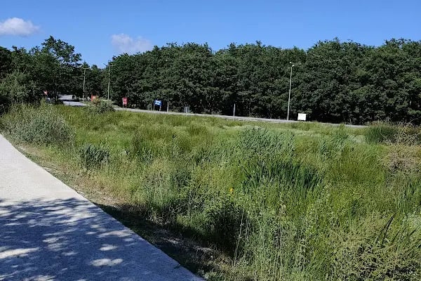 Danamandıra Tabiat Parkı - Resim 15