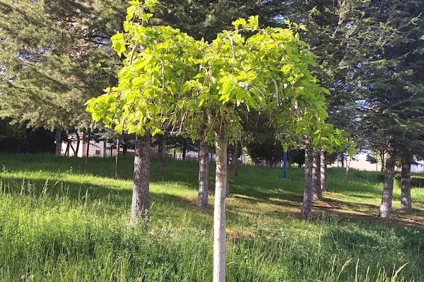 Akyurt Toki Ortaokulu - Resim 7