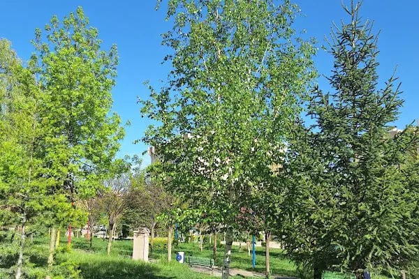 Akyurt Toki Ortaokulu - Resim 2