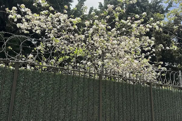 İSTANBUL BAĞCILAR GÖNÜL EMLAK - Resim 6