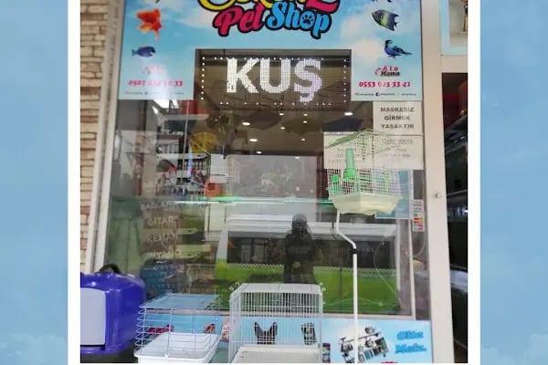 Ceren Petshop Kuaför Akvaryum Kuşçu Mama - Resim 15