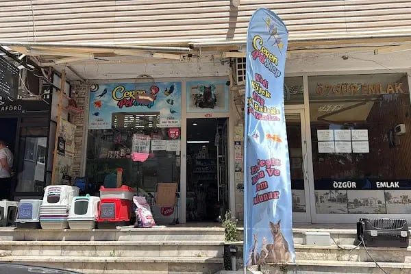 Ceren Petshop Kuaför Akvaryum Kuşçu Mama - Resim 10