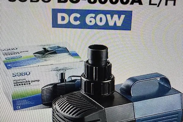 Ceren Petshop Kuaför Akvaryum Kuşçu Mama - Resim 6