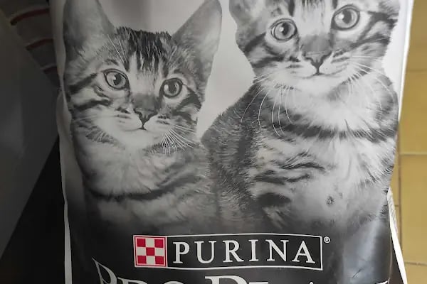 Ceren Petshop Kuaför Akvaryum Kuşçu Mama - Resim 14