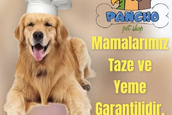PANCHO PETSHOP - Resim 1