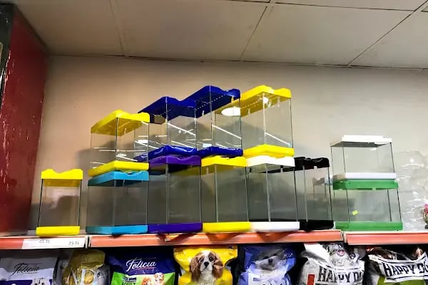 PANCHO PETSHOP - Resim 9
