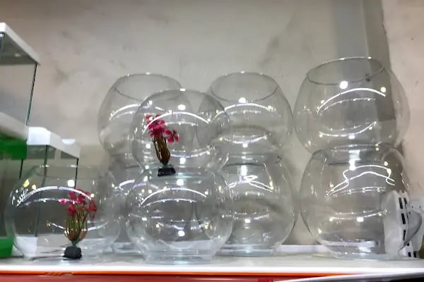 PANCHO PETSHOP - Resim 4