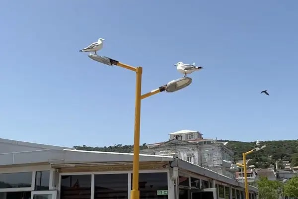 ARAS 2 OTOPARK & OTOYIKAMA 7/24 AÇIK - Resim 12