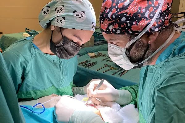 Dr. Öğr. Üyesi Türker Karancı, Beyin Ve Sinir Cerrahisi - Resim 1