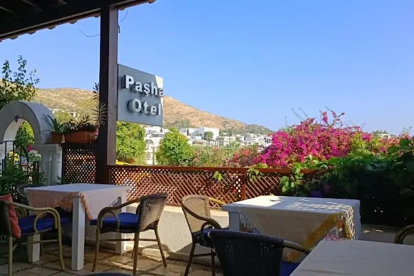 Pasha Motel - Resim 19