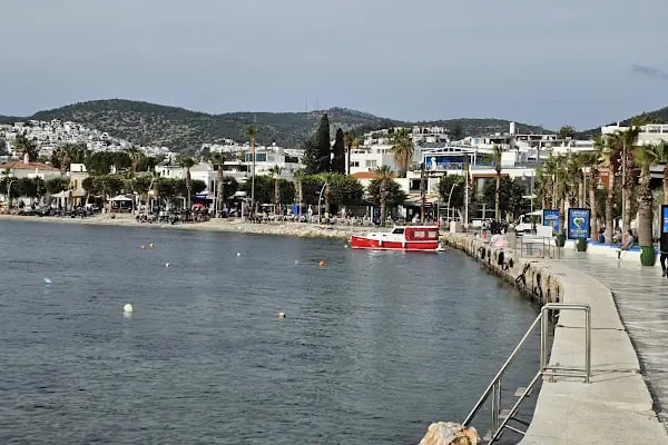 Pasha Motel - Resim 11