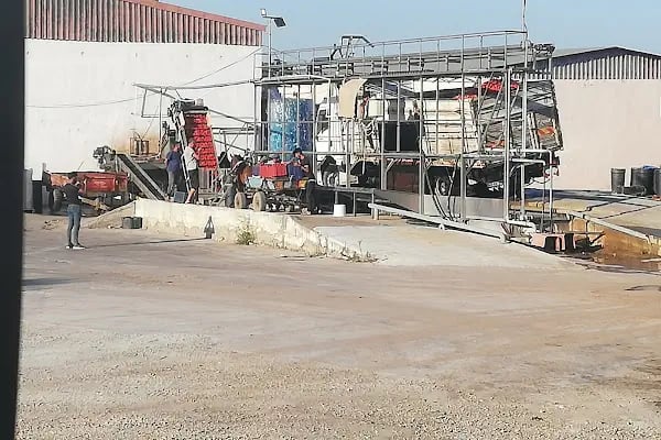 Er-mis Salça Fabrikasi - Resim 4