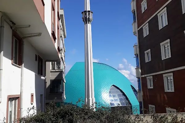 Yeşil Suit - Resim 1