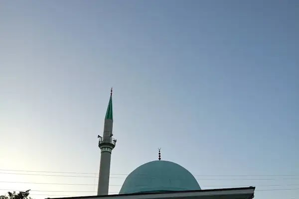 Şükrü Arıcı Cami - Resim 13