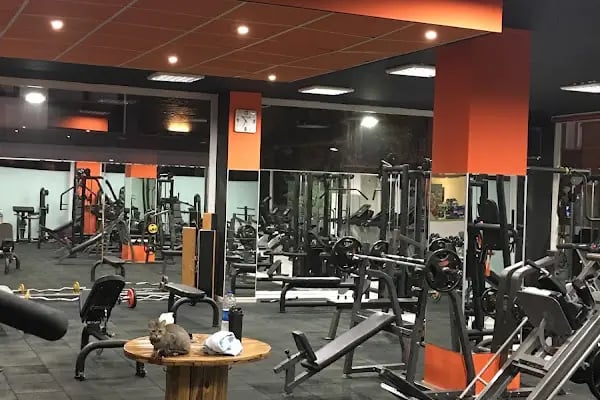 Spor 35 Sağlık Yaşam Merkezi - Resim 17