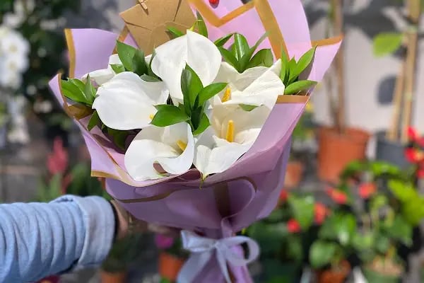 Yiğit Çiçekçilik (Flowers) - Resim 8