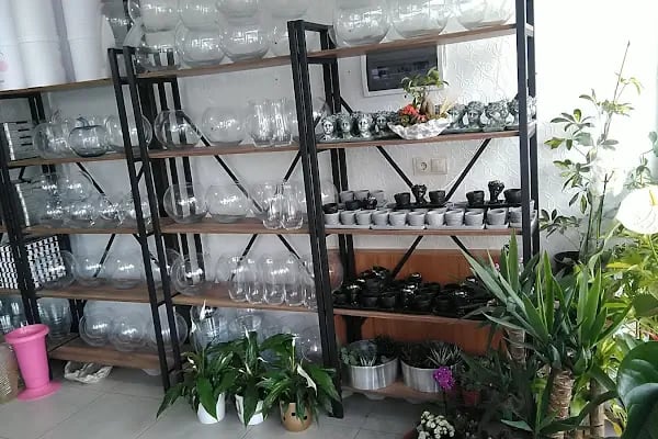 Yiğit Çiçekçilik (Flowers) - Resim 10