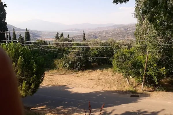 ÇINARALTI KAHVESİ - Resim 5