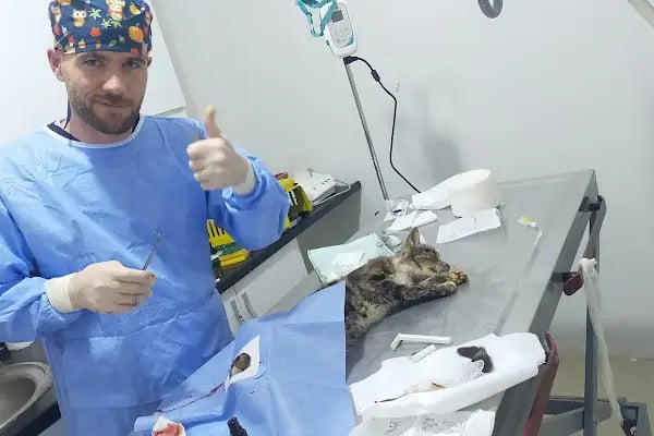 Bağlar pet veteriner kliniği - Resim 19