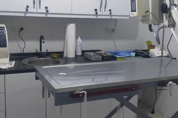 Bağlar pet veteriner kliniği - Resim 16