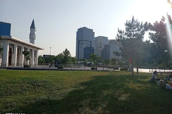 Başkent Millet Bahçesi Konferans Salonu - Resim 12