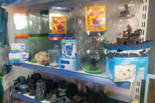 Trabzon Hobi petshop - Resim 9