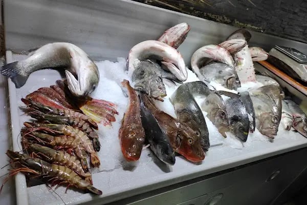 Sur Balık Restoran Arnavutköy - Resim 3