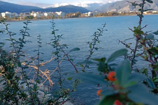 Limani Cafe - Resim 14
