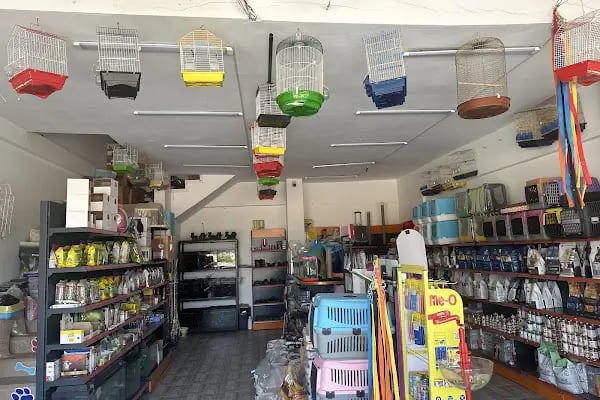 Seçkin petshop - Resim 4