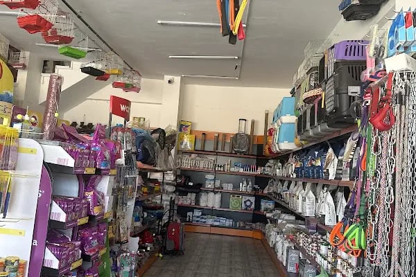 Seçkin petshop - Resim 3