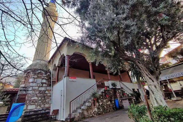 Arap Alanı Camii (Defterdar Mahmut Efendi) - Resim 7