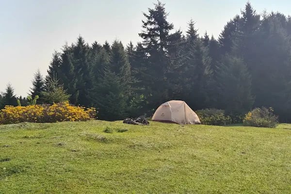 Aymaç Tabiat Parkı - Resim 15