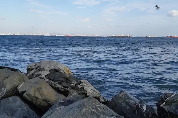 Ataköy Marina ve Yat İşletmeleri A.Ş. - Resim 6