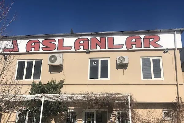 Aslanlar Lojistik - Resim 16