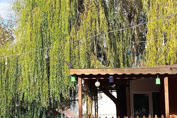 Park Düğün Salonu - Resim 1