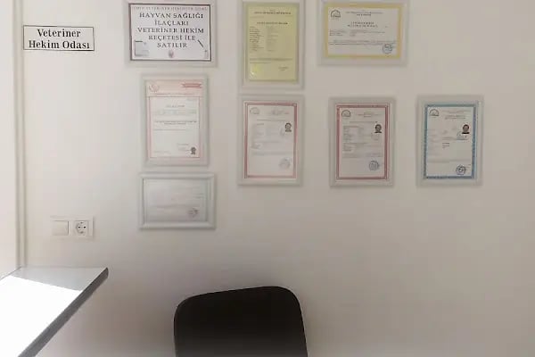 ADA VETERİNER KLİNİĞİ - Resim 18