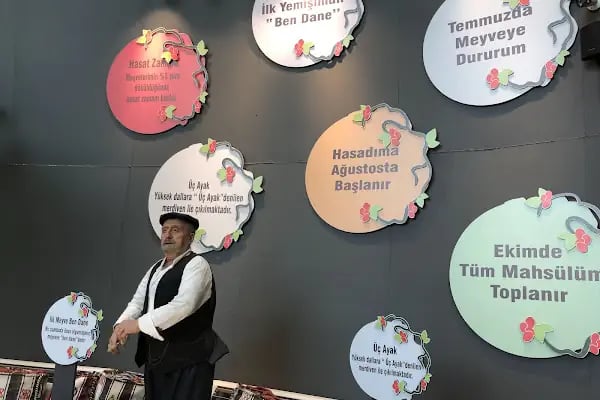 Fıstık Park Cafe Restoran - Resim 15
