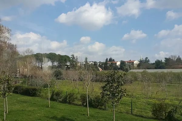 Fıstık Park Cafe Restoran - Resim 12